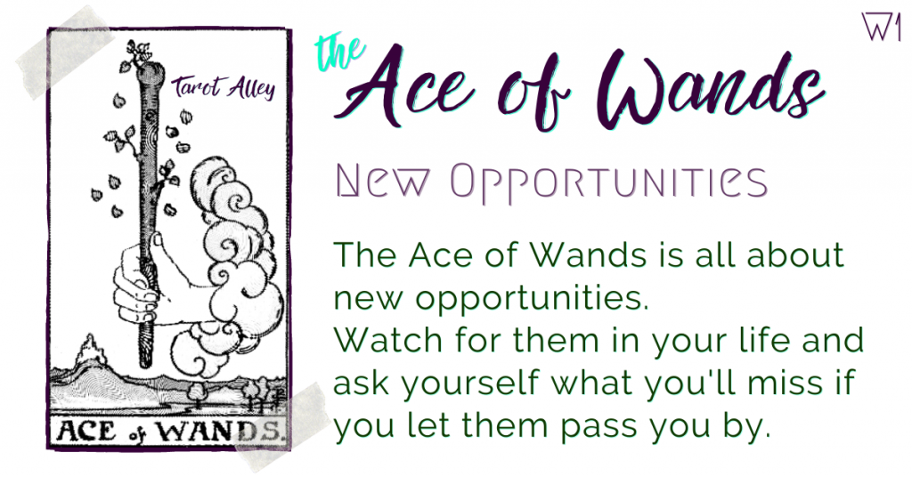 Intro Image: Ace of Wands (W1) - new opportunities